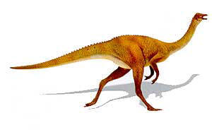 Gallimimo
